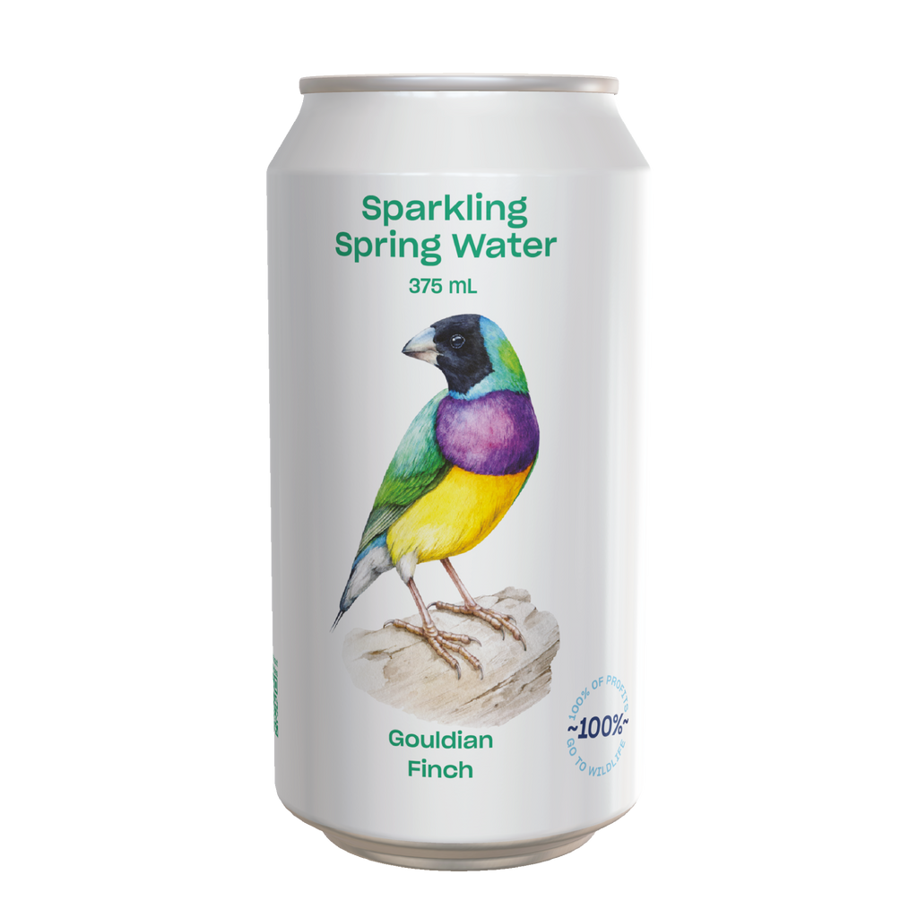 Spring Wallaby Wallaby x AWC Limited Edition Sparkling Water 375ml x 24
