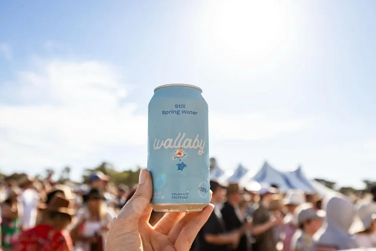 Wallaby at Ocean Sounds Festival 2025